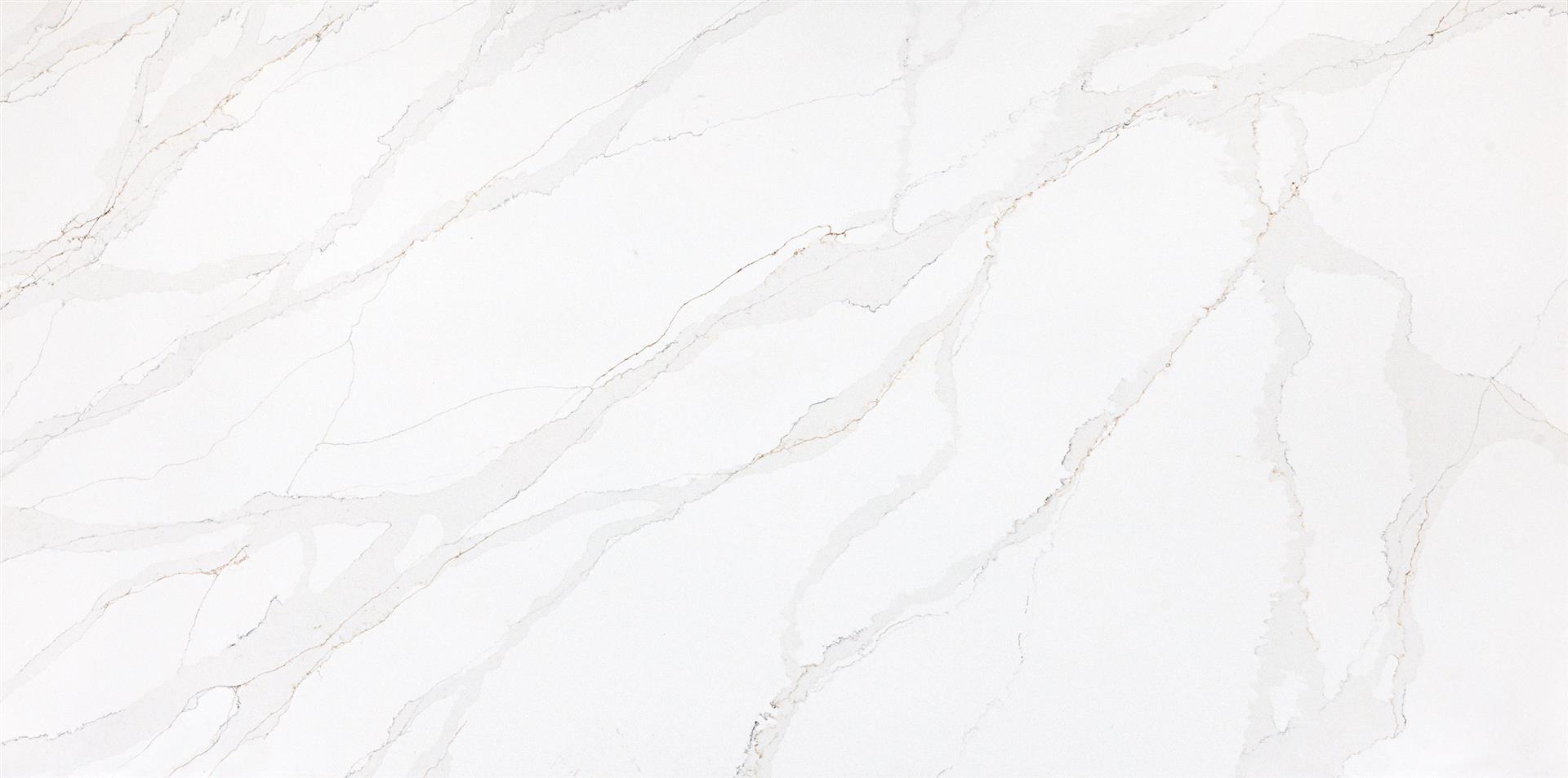 White Aurora V738 Slabs image