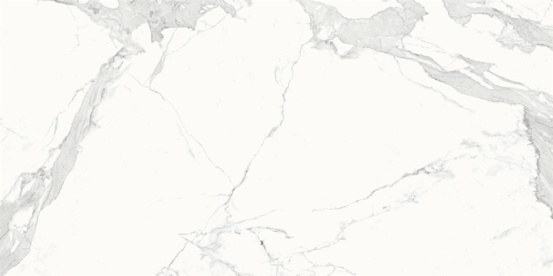 Estatuario E01 Slabs image